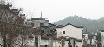 С����Ϊʲô������г���ӭ��